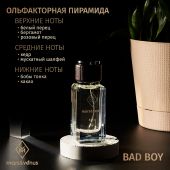 M221 Mars&Venus Bad Boy парфюмированная вода 50ml